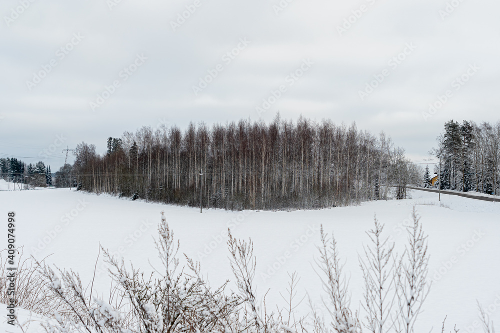 Snow-covered field against the background of the forest. Snowy forest landscape. Snowy winter concept. Finnish nature. Snow-covered field against the background of the forest. Snowy forest landscape. Snowy winter concept. Finnish nature.