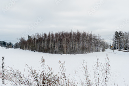 Snow-covered field against the background of the forest. Snowy forest landscape. Snowy winter concept. Finnish nature.