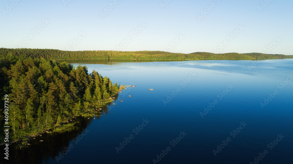 A beautiful mixed forest along the shore of the huge calm lake. Blue sky.  Nature background.