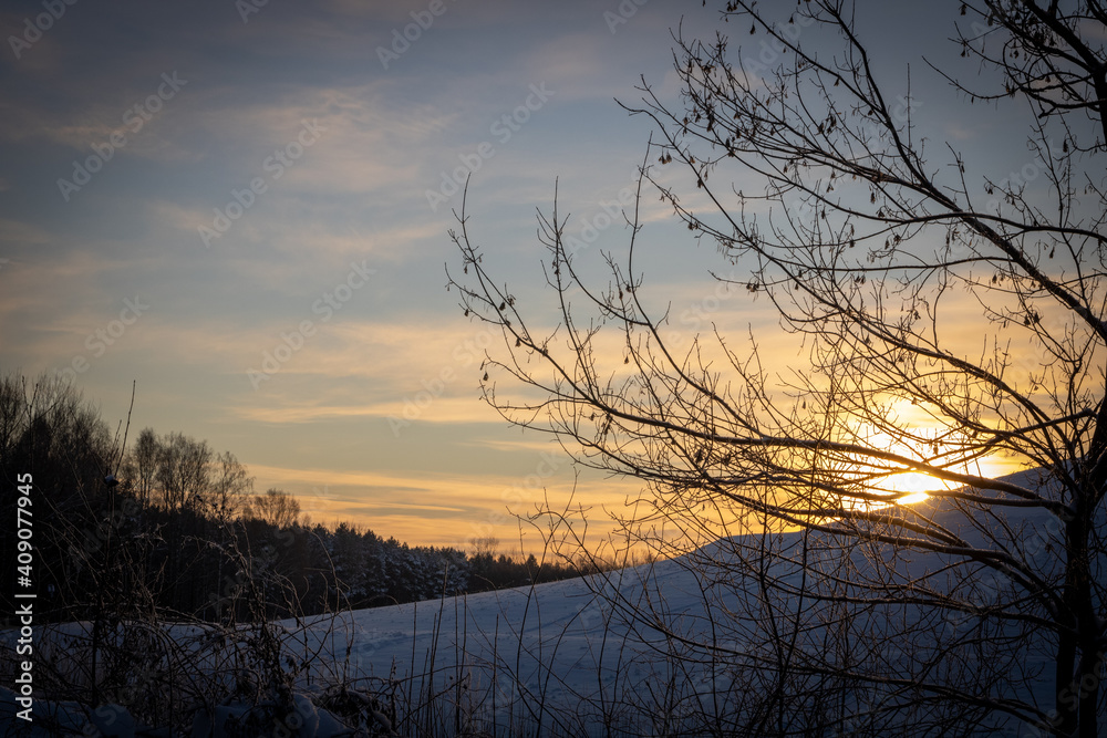 Obraz premium Snow forest during sunrise; Bright rays of the sun cut through frozen branches and tree trunks