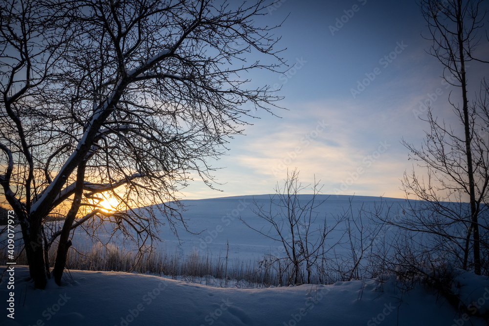 Snow forest during sunrise; Bright rays of the sun cut through frozen branches and tree trunks Snow forest during sunrise; Bright rays of the sun cut through frozen branches and tree trunks