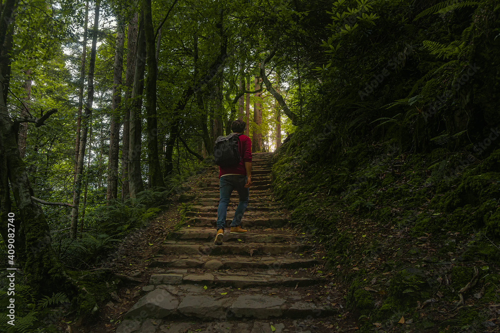 young man walking into the forest through a stone stairs in the nature young man walking into the forest through a stone stairs in the nature