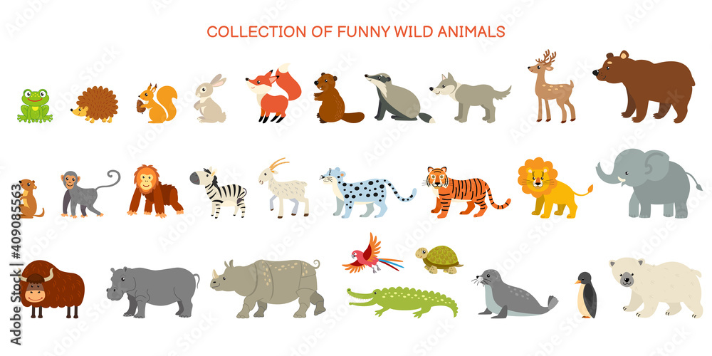 Collection of funny wild animals. Zoo. Animals of tropical countries, North  America and the Arctic. Stock Vector | Adobe Stock