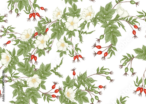 Rose hips with flowers and berries seamless pattern. Graphic drawing, engraving style. Vector illustration.