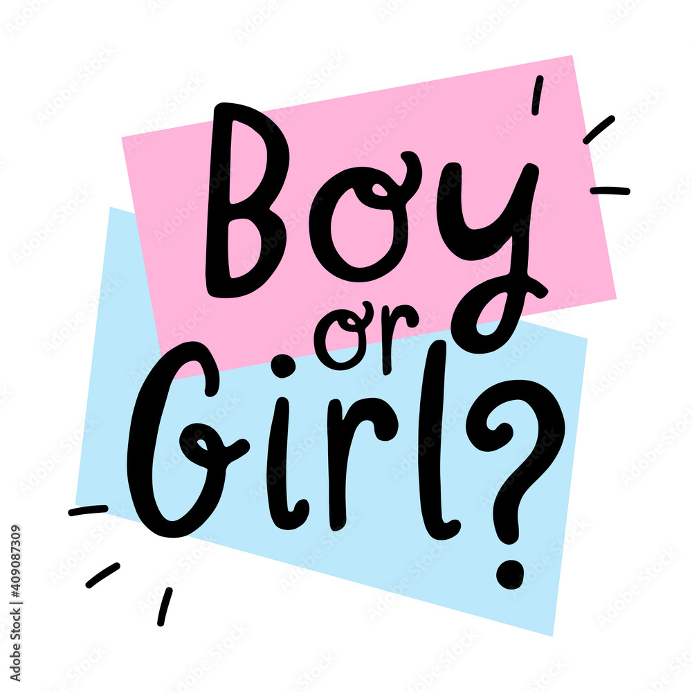 Boy or girl? Gender reveal party card, banner vector element design Stock  Vector