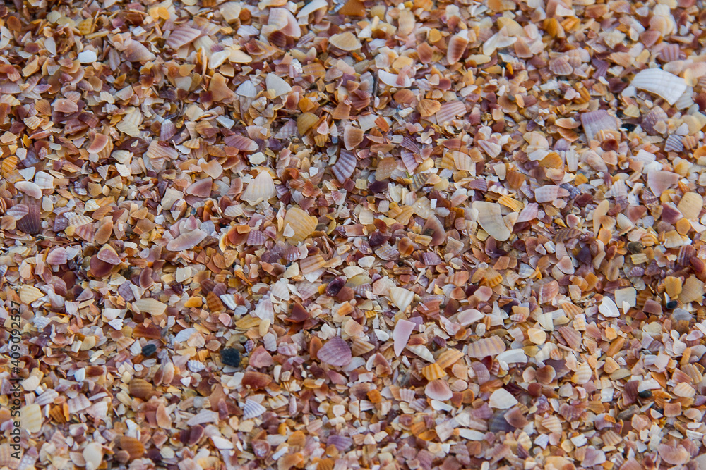 Sand and mussel texture and background from a beach Sand and mussel texture and background from a beach
