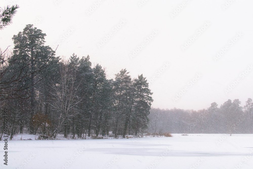 Snowfall in the forest. Scenic winter landscape of frozen pond in the forest. Evergreen wood and shore in snow. Winter season in the Pushcha-Vodytsia. Kyiv neighborhood, Ukraine Snowfall in the forest. Scenic winter landscape of frozen pond in the forest. Evergreen wood and shore in snow. Winter season in the Pushcha-Vodytsia. Kyiv neighborhood, Ukraine