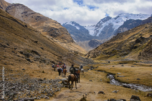 Obraz na plátne Pack mules on the trail on the Cordillera Huayhuash circuit, Ancash, Peru
