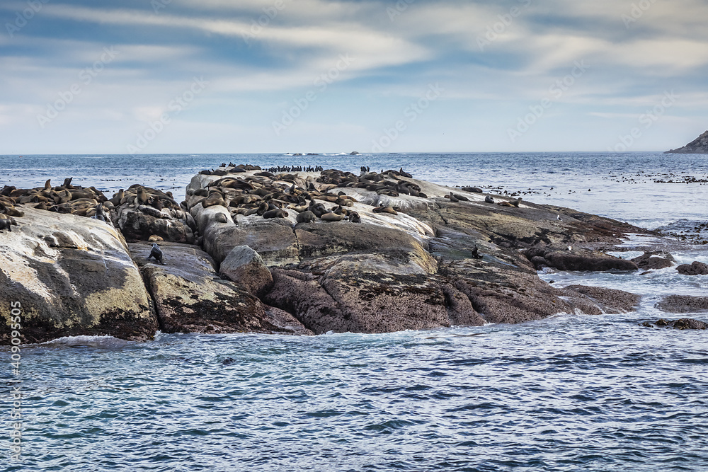 View of Duiker Island or Duikereiland (Afrikaans), also known as Seal ...