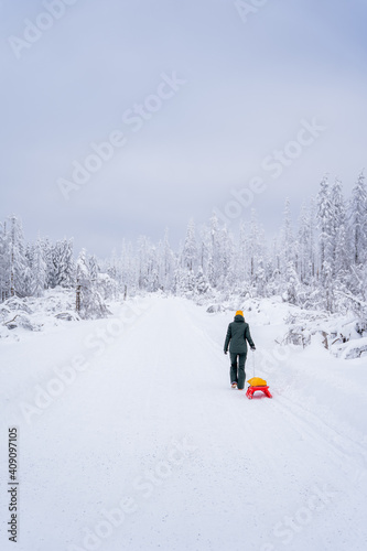 Snowlandscape and snowed trees on the Brocken in Harz in Germany 