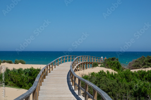 Broadwalk to a sand beach, trees, ocean and blue sky © Jarmo V