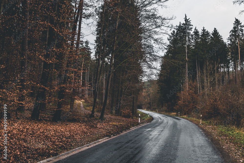 Fototapeta premium foggy and wet road in the woods