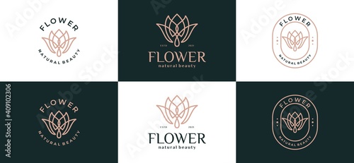 abstract logo flower leaf logo design illustration