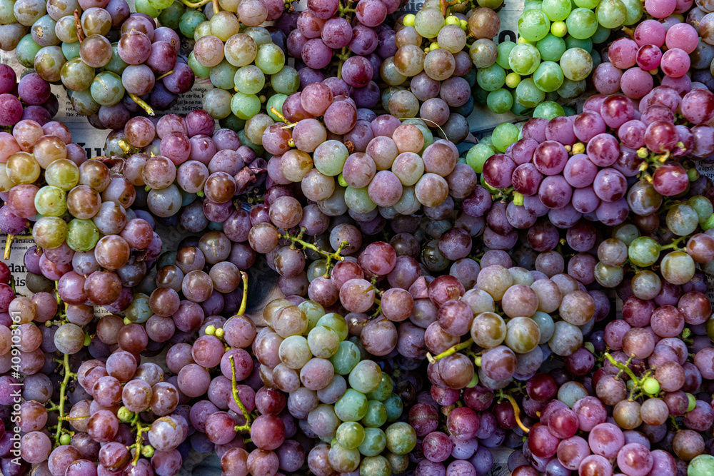 flat lay, a lots of organic wine grapes, concept wine, crop and juice, selective soft focus flat lay, a lots of organic wine grapes, concept wine, crop and juice, selective soft focus
