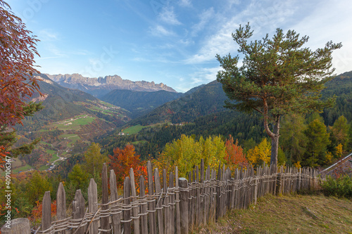 Autumn view of the Tires Valley with colorful trees and Catinaccio peaks profile in the background  Italy. Concept  autumnal Dolomite landscapes