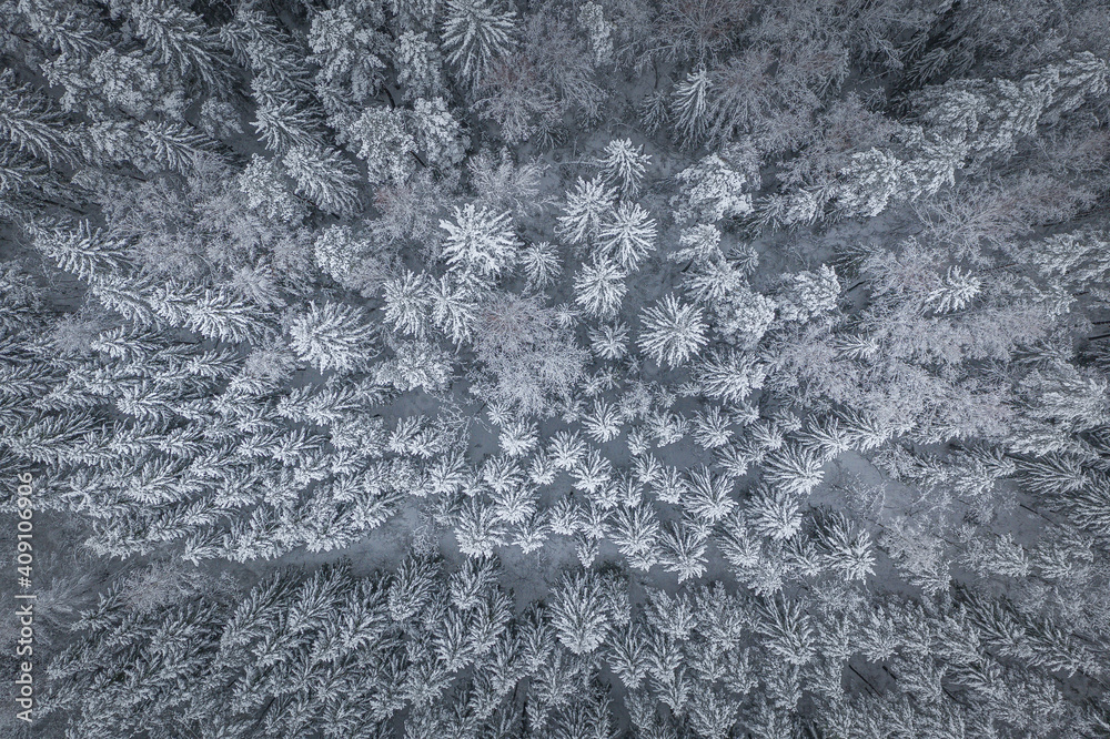 Snowy winter landscape with forest covered in snow. Snowy tree tops. White scenic countryside.