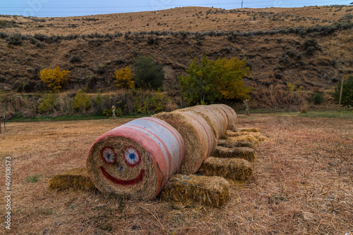 Funny Haystack in Fall in Washington State photo