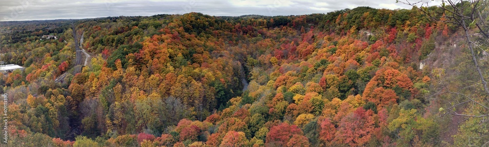 Trees changing color in the Autumn Fall