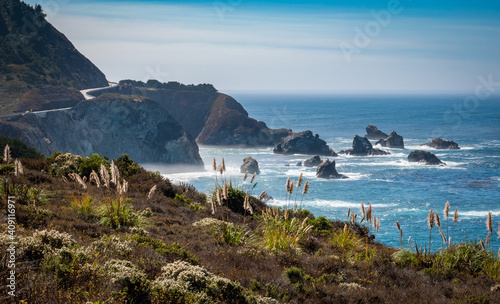 Common reeds (Phragmites australis) grow along the top of the cliffs as cars drive on Highway 1 along the Pacific Coast of California between Carmel by the Sea and Big Sur. 