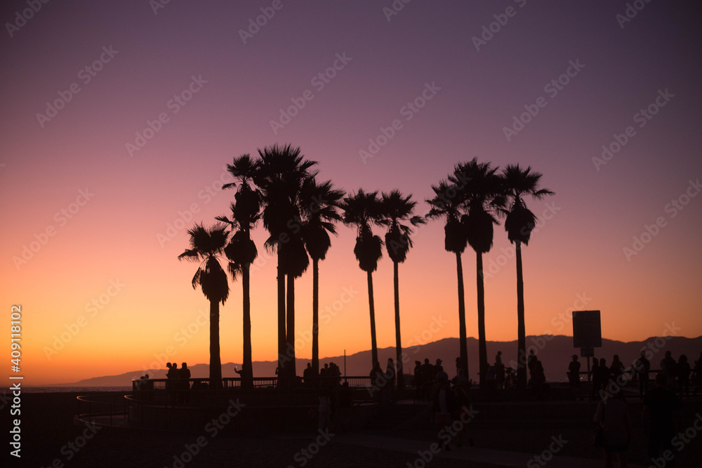Obraz premium sunset in Venice Beach