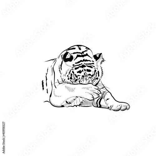 Sketch. Tiger is washing.