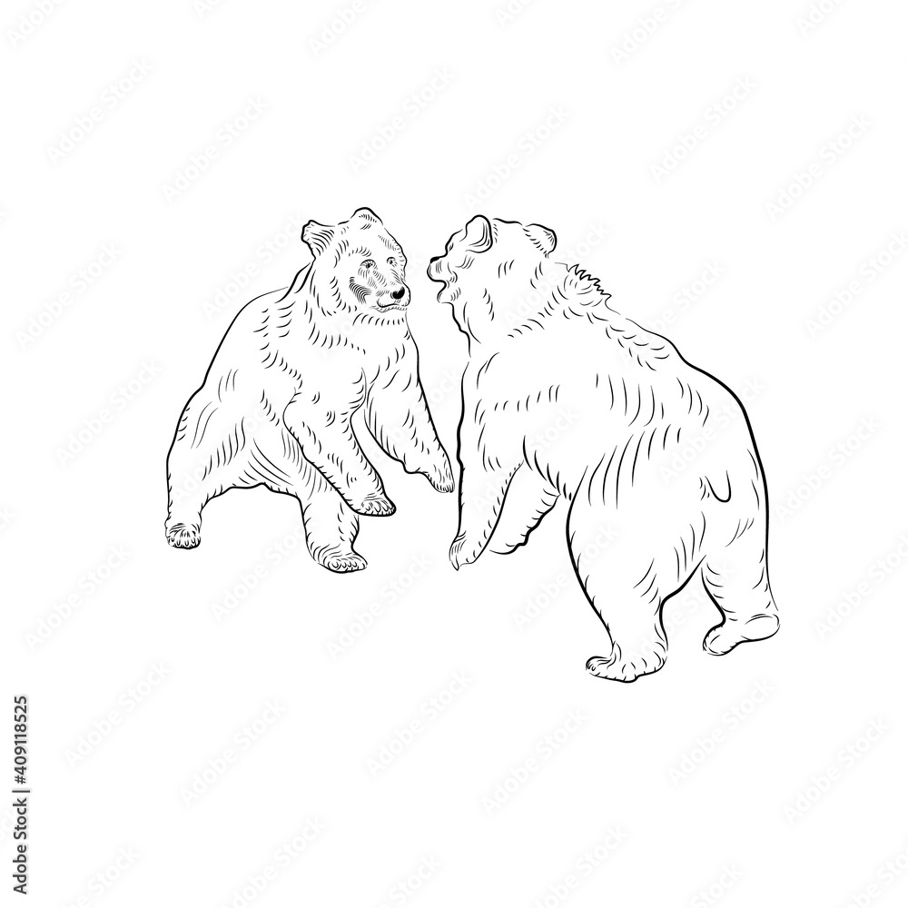 Fototapeta premium Sketch. Battle of two bears.