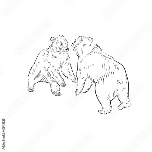 Sketch. Battle of two bears.