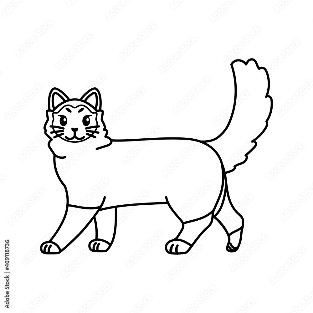 Isolated outline of a cat - Vector illustration