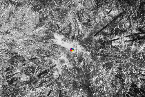 Aerial view of snowy pine at a colorful rainbow colored umbrella in the middle of the aerial photo as a wonderful color contrast element.