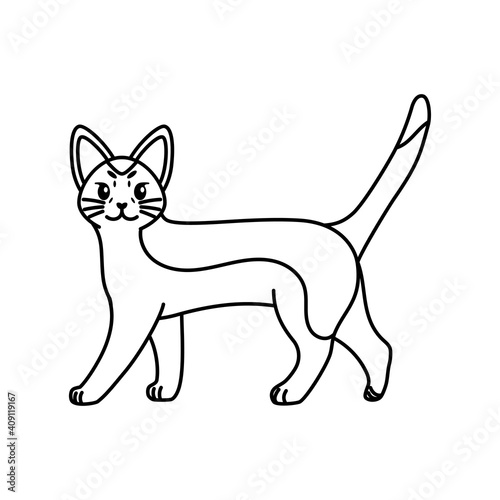 Isolated outline of a cat - Vector illustration