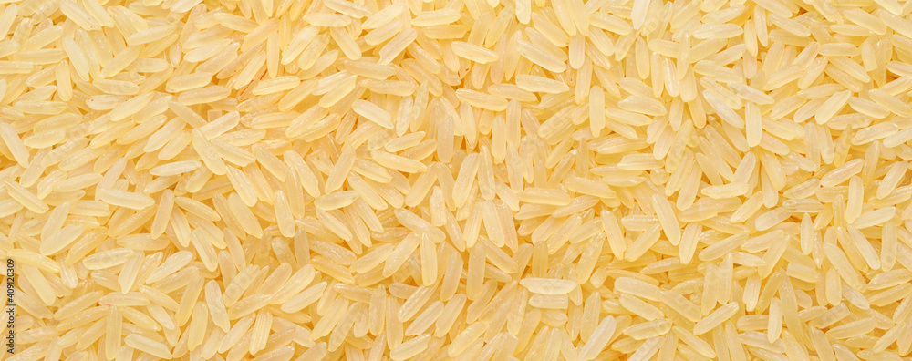 Rice. Long grain rice. Close up..Raw, uncooked Oryza sativa on black stone background. .Panoramic image, hi-res banner. .Food background. Rice. Long grain rice. Close up..Raw, uncooked Oryza sativa on black stone background. .Panoramic image, hi-res banner. .Food background.