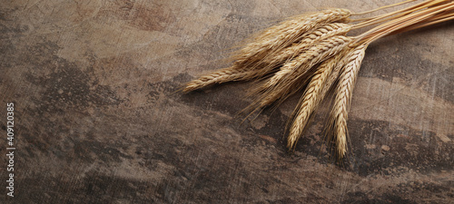 A wheat spikes on brown wooden background..Wheat Sheaf close-up..A bundle of cereal-crop stalks, .wheat ears, bound together on the vintage table..Food background. Panoramic image, hi-res banner.