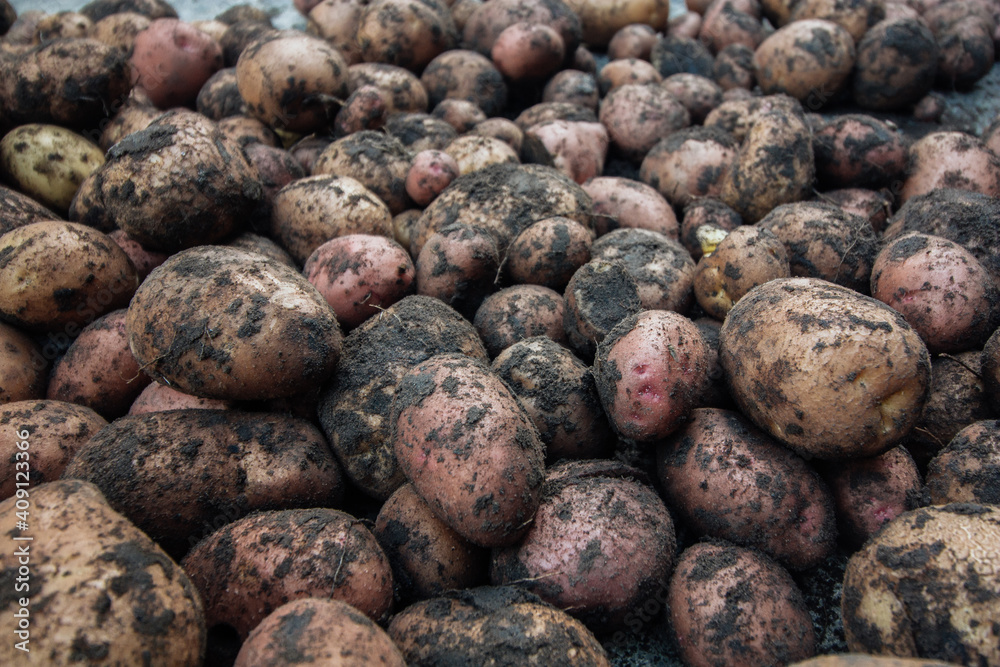 Raw potato