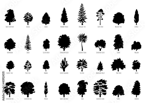 The collection of trees silhouettes isolated on white background. Big Vector cartoon set with sapling for forest landscape. Environment elements in flat style