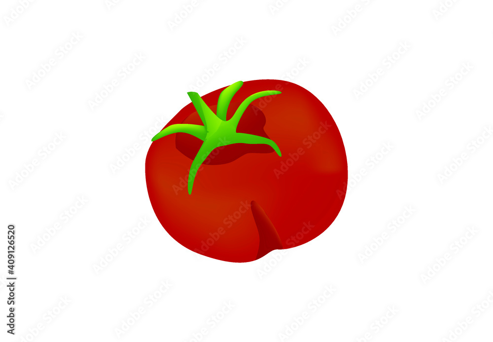 Illustration of Vector Tomato Fruit. Isolated Illustration of Vector Tomato Fruit. Isolated