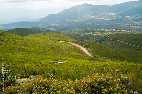 Erica Shrubs In The Afro-alpine Ecosystem Of The Bale Mountains, Ethiopia