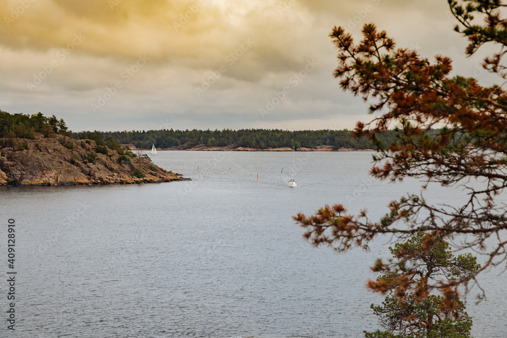 tree on the lake. clouds over the sea. Big yellow and dark clouds over the sea. Swedish landscape. Swedish island. 