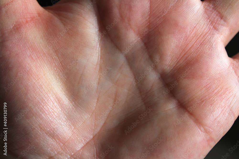 Fototapeta premium Hand