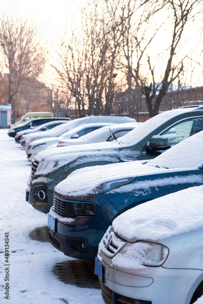 A row of cars covered with snow