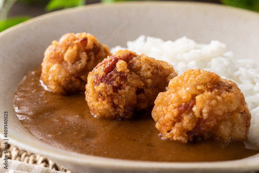 こんがりキツネ色の唐揚げカレー こんがりキツネ色の唐揚げカレー
