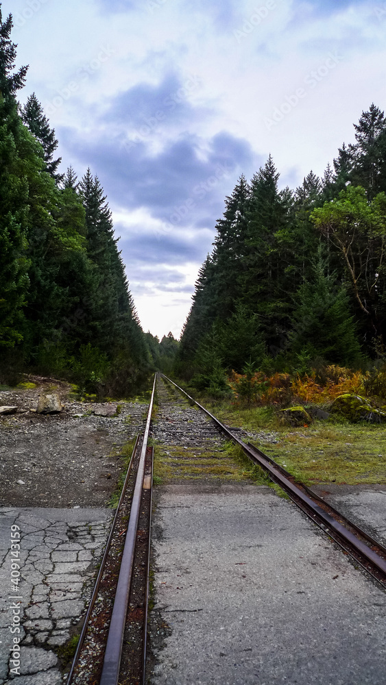 Fototapeta premium Railroad in the forest, Vancouver Island, BC, Canada
