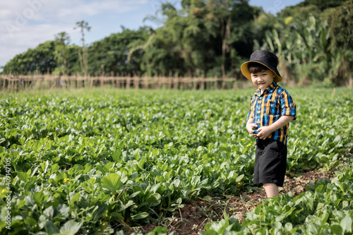 Little boy walking in Organic vegetable garden