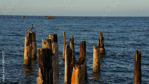 pier