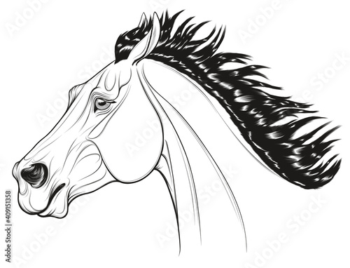 Black and white portrait of a running bronco with a long thick mane. Galloping stallion pulled its ears back. Vector linear element for rodeo and horse owners isolated on a white background.