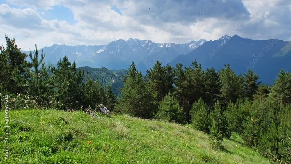 Beautiful summer landscape with pine trees in Caucasus Mountains, Republic of Ingushetia, Russia, 4k Beautiful summer landscape with pine trees in Caucasus Mountains, Republic of Ingushetia, Russia, 4k