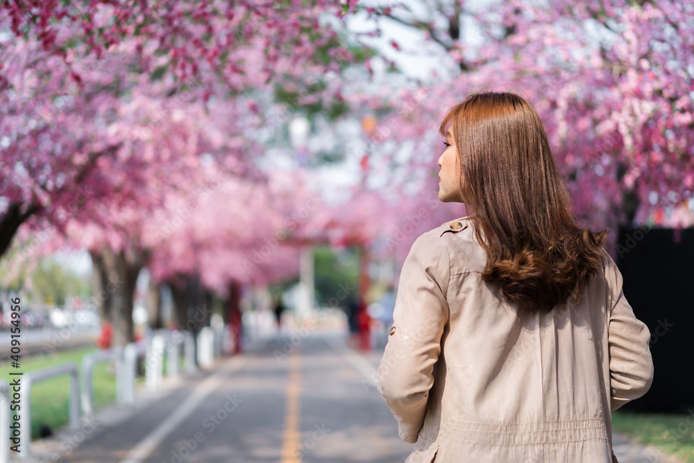 woman traveler looking cherry blossoms or sakura flower blooming in the park woman traveler looking cherry blossoms or sakura flower blooming in the park