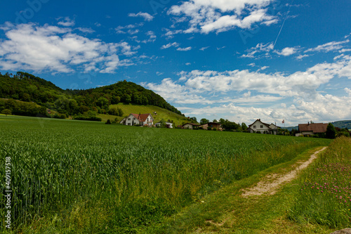 A wheat or barley field in the central plateau of Switzerland. There is an unpaved road by the growing plants leading to a small village on the foothills of Alps. A pastoral image with farms.