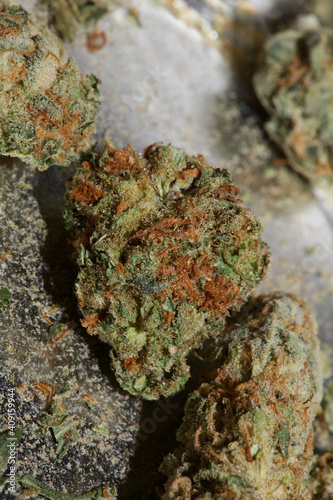 Medical cannabis super lemon haze skank macro modern background high quality prints