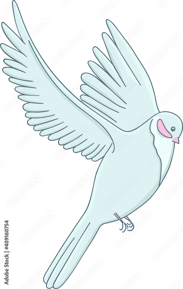 Fototapeta premium Light gray bird with pink cheeks and spread wings