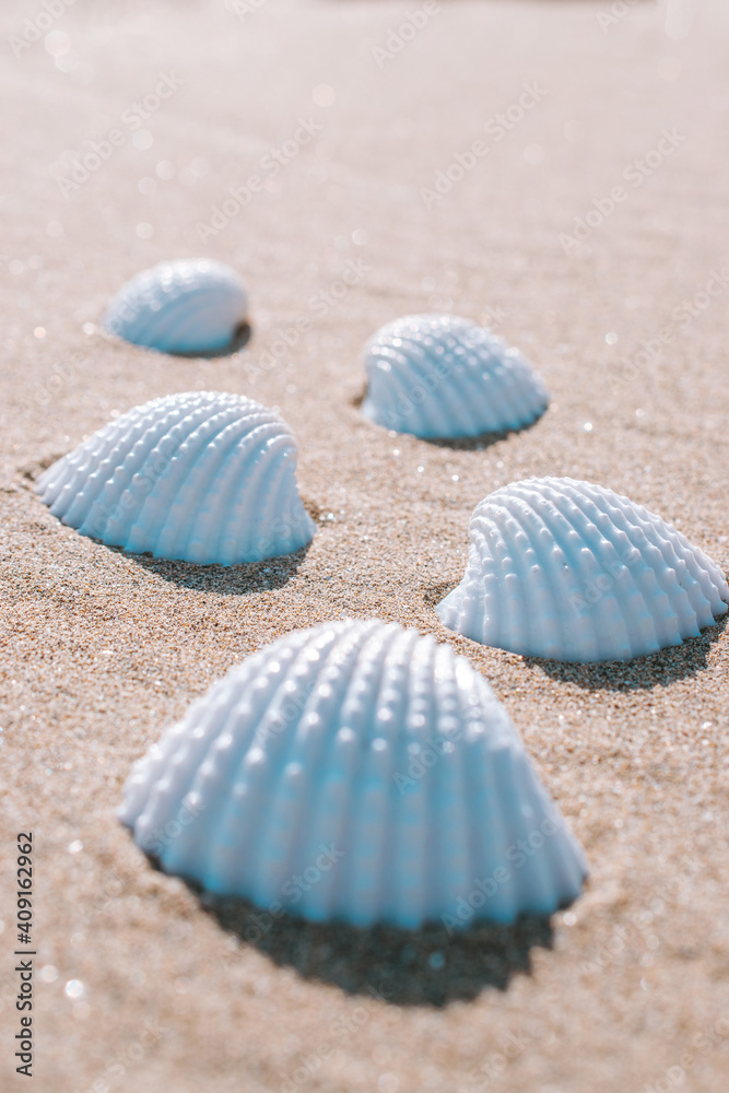 Summer background beach with seashells, starfishes on sand ocean background. Copy space. Road frame set. Summer background beach with seashells, starfishes on sand ocean background. Copy space. Road frame set.